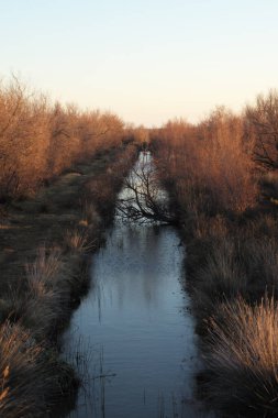 Ormanda küçük bir nehir.