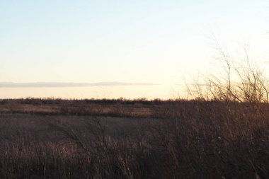 Ağaçlı ve karlı güzel bir manzara.
