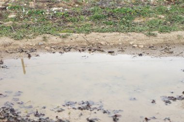 Sahilde su damlaları