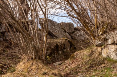 Kafkasların dağlarında yosunlu taş duvar ilkbaharda