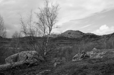 Norveç adasının güzel manzarası siyah beyaz.