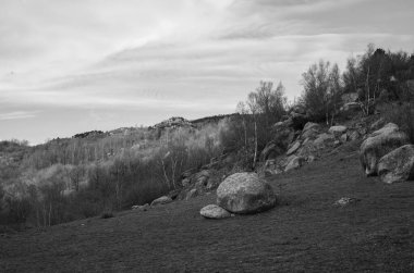 Ağacı olan güzel bir manzara