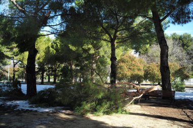 Parkın güzel manzarası