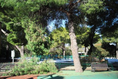 Sidi şehrindeki güzel, temiz ve güzel doğal park.