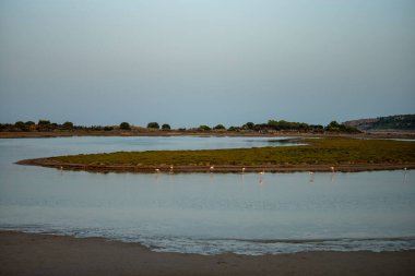Doğanın güzel manzarası