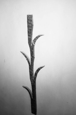 güzel bir tropikal bitkinin siyah ve beyaz görüntüsü