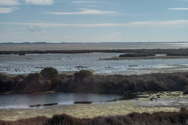 Kuzeyde güzel bir nehir manzarası