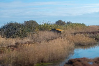 Doğanın güzel manzarası