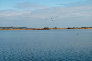 Sakin mavi bir gökyüzünde, sakin bir gölle uçan bir kuş sürüsü.