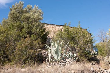 Şehirde terk edilmiş eski bir ev.