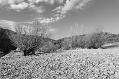 Doğanın güzel manzarası