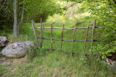 Bahçede ahşap bir kapı.
