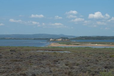 Deniz kıyısının güzel manzarası