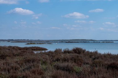 Hollanda 'daki göl manzarası