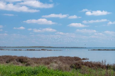 Açık mavi gökyüzünün altında yeşilliklerle çevrili güzel bir göl manzarası.