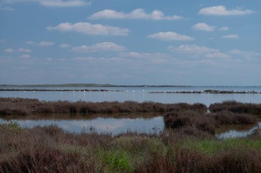 Nehir ve gölü olan güzel bir manzara.