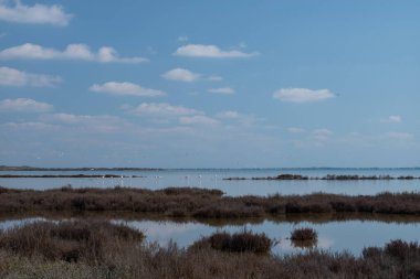 Bir gölü ve arka planda bir ağacı olan manzara.