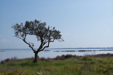 Sahilden nehir manzarası