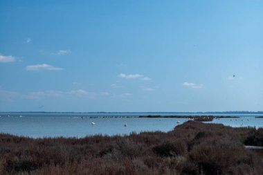 Güzel deniz manzarası
