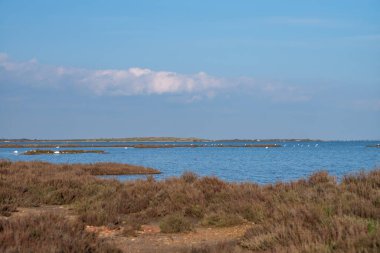 Sahilde güzel bir manzara