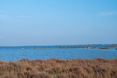Kıyı ve deniz manzarası