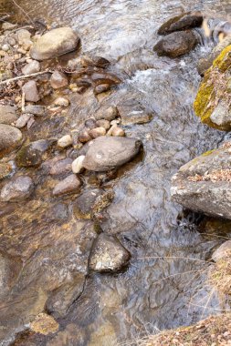 Dağlardaki dağ deresi