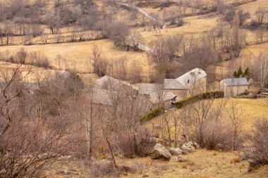 Ormanın ortasında küçük, taştan bir çatı olan bir taş evin dikey görüntüsü.