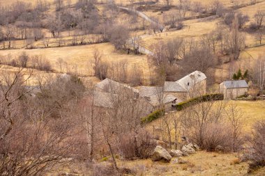 Yeşilliklerle çevrili terk edilmiş bir evin dikey görüntüsü.