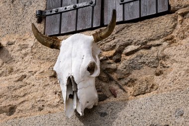 İspanyol köyünün duvarında tahta bir tabela olan bir boğanın kafatası.