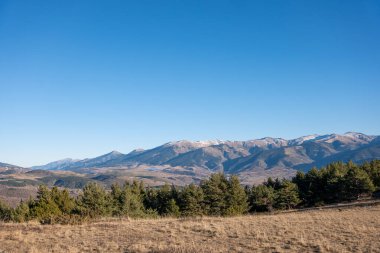 Karla kaplı ağaçlarla kaplı güzel kış manzarası