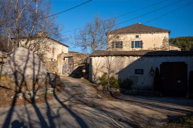 Ortasında ağaç olan tahta bir evin dikey görüntüsü.