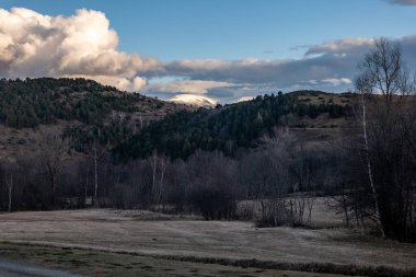 Ormandan geçen bir yolun manzaralı görüntüsü ve bulutlu bir gökyüzü.
