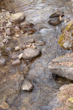 Ormanda akan bir derenin dikey görüntüsü.