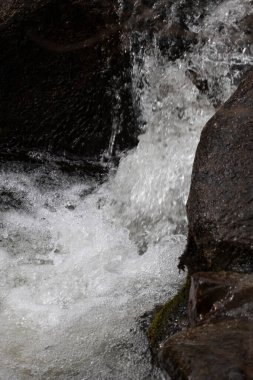 Ormanda güzel bir şelale