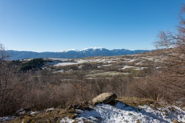 Karlı bir ormanın güzel bir görüntüsü