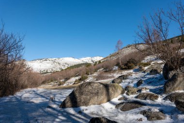 Karla kaplı ağaçlarla kaplı güzel kış manzarası