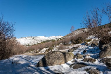 Karlı bir dağ yolunun güzel kış manzarası