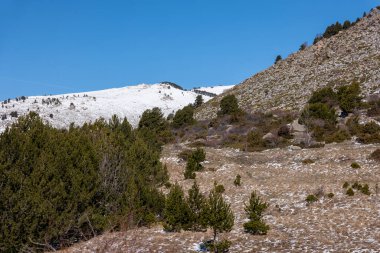 Dağın güzel manzarası