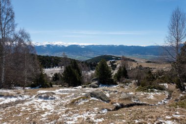 Karlı ağaçlar şaşırtıcı Doğa Manzaralı
