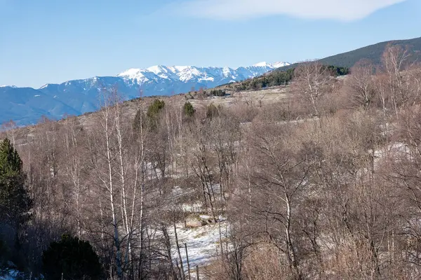 Dağlardaki güzel kış ormanı.