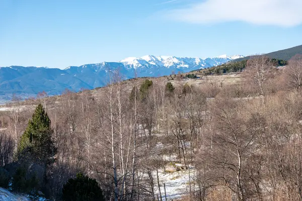 Karlı kış dağlarının manzarası