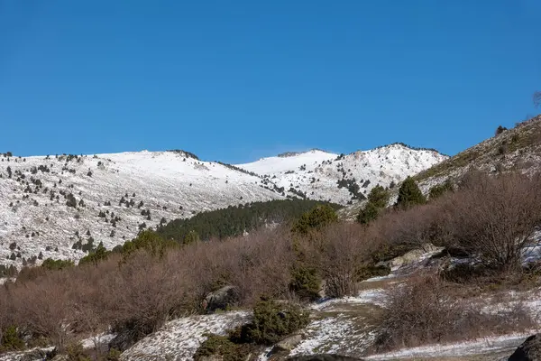 Karla kaplı ağaçlarla kaplı dağ manzarası