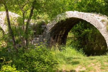 Bir ormandaki yaşlı taş köprü