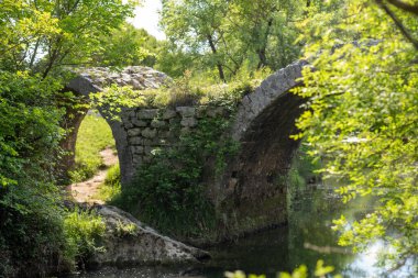 Ormanın içinde bir köprü
