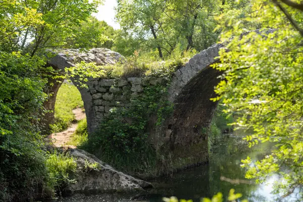 Ormanın içinde bir köprü