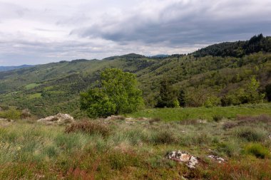 bulutlu bir günde bir dağın manzarası