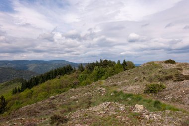 Yaz mevsiminde dağ manzarası