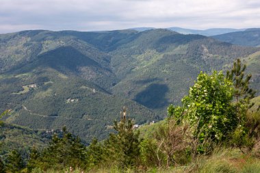 Yeşil ağaçlı güzel dağ manzarası
