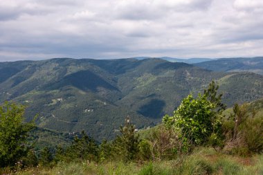 Dağın ve ormanın manzarası
