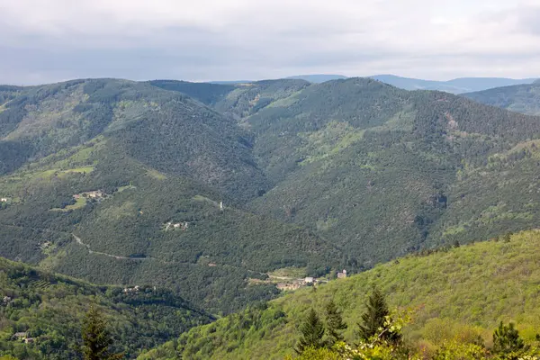 Karpat dağlarındaki ormanın dağ manzarası.